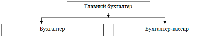 структура бухгалтерии ООО "Элевел"
